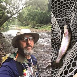 Wading Steelhead Trout in Susquehanna River